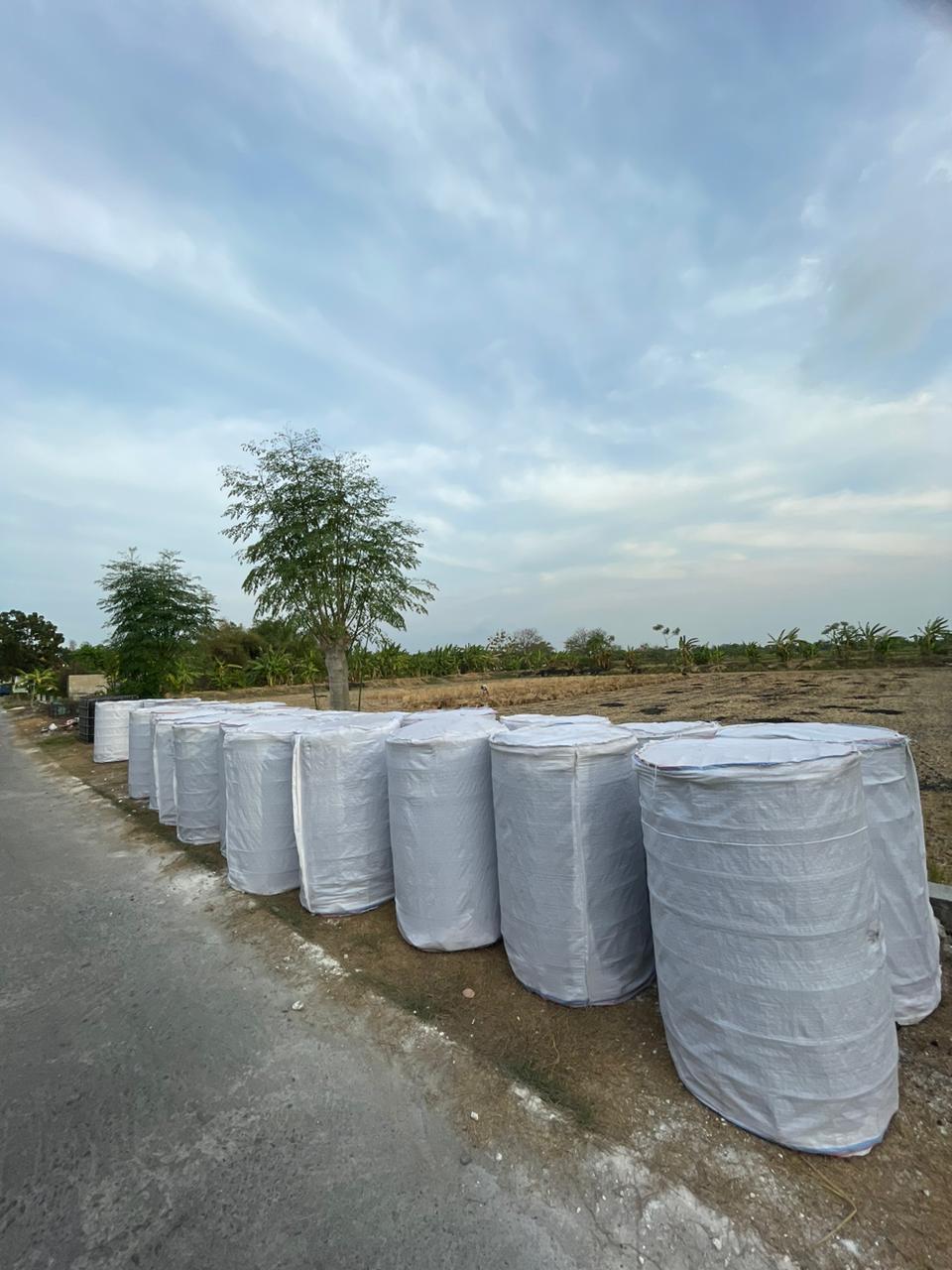 Pengiriman Kami